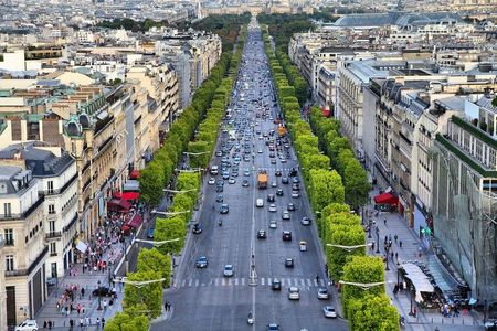 Champs Elysees Avenue with green trees and surrounding buildings