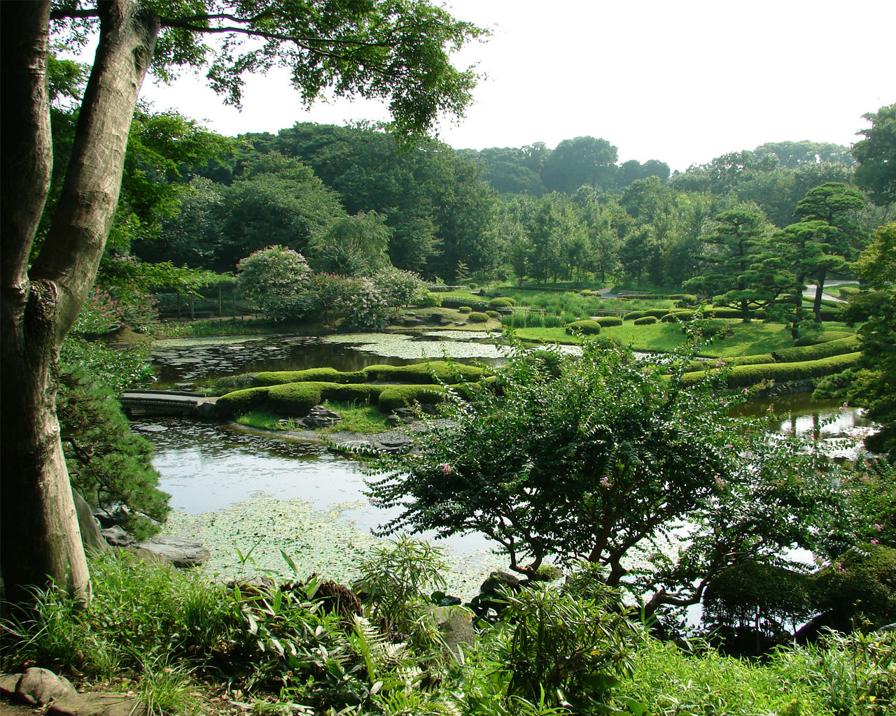 You Must See Eastern Garden Of The Tokyo Imperial Palace If You