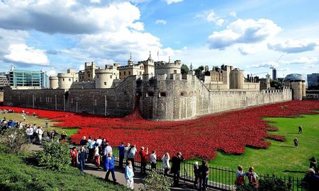 Blood Swept Lands and Seas of Red at the Tower of London