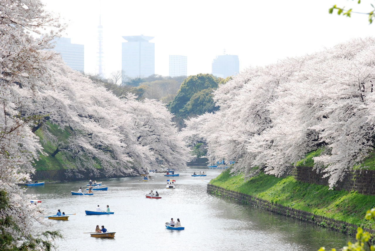You Must See Tokyo Imperial Palace East Garden If You Happen To
